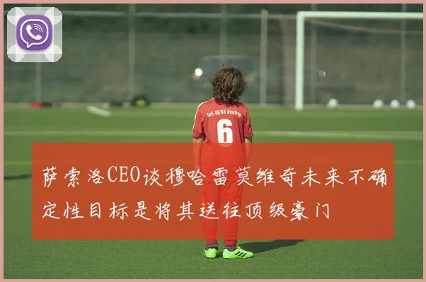 萨索洛CEO谈穆哈雷莫维奇未来不确定性目标是将其送往顶级豪门